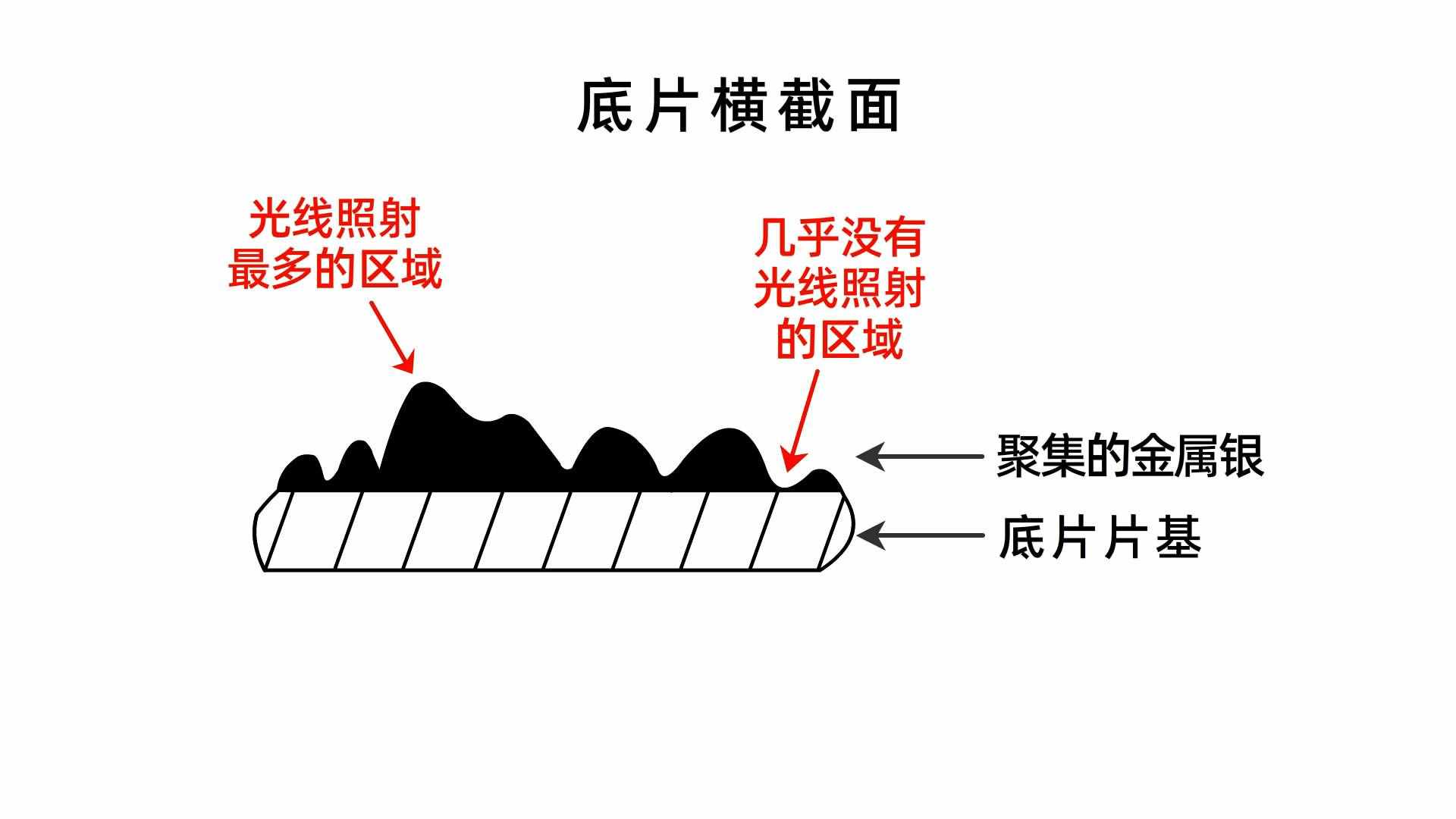 一看就懂：沖洗底片和照片的原理