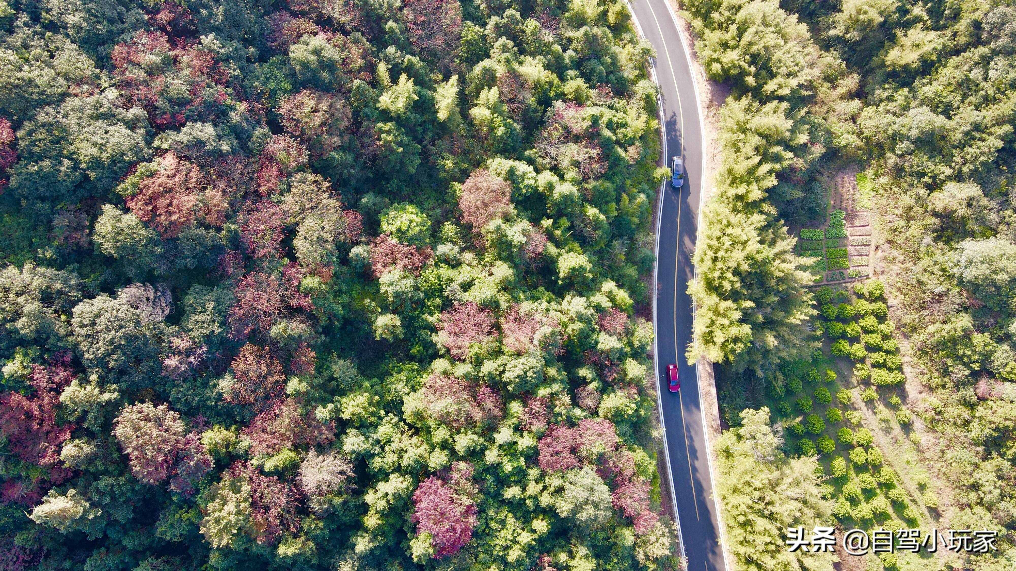 沿途20多個景點(diǎn)，全部免費(fèi)！廣東這條絕美的自駕路線，不容錯過