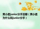 黃小柔junior分手豆瓣（黃小柔為什么和junior分手）