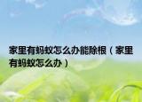 家里有螞蟻怎么辦能除根（家里有螞蟻怎么辦）