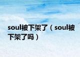 soul被下架了（soul被下架了嗎）