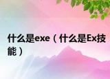 什么是exe（什么是Ex技能）