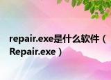 repair.exe是什么軟件（Repair.exe）