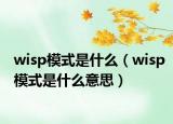 wisp模式是什么（wisp模式是什么意思）