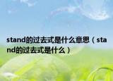 stand的過去式是什么意思（stand的過去式是什么）