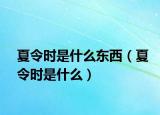 夏令時是什么東西（夏令時是什么）