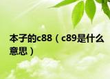 本子的c88（c89是什么意思）