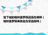 地下城的格林賽羅斯戰(zhàn)場(chǎng)在哪啊（格林賽羅斯果核是在里面刷嗎）