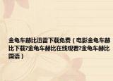 金龜車赫比迅雷下載免費(fèi)（電影金龜車赫比下載?金龜車赫比在線觀看?金龜車赫比國語）