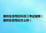 廊坊東岳駕校科目三考試視頻（廊坊東岳駕校怎么樣）