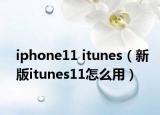 iphone11 itunes（新版itunes11怎么用）