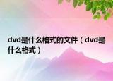 dvd是什么格式的文件（dvd是什么格式）