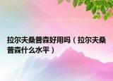 拉爾夫桑普森好用嗎（拉爾夫桑普森什么水平）