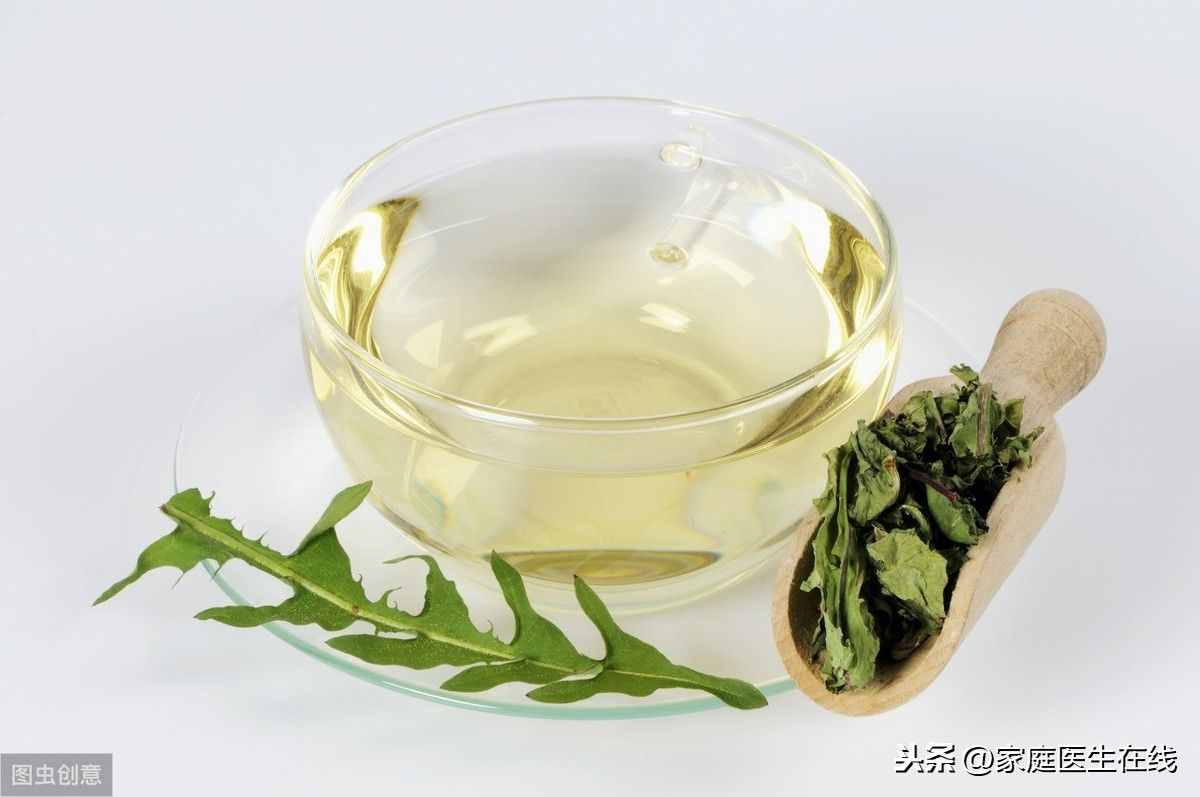 經(jīng)常用蒲公英泡水喝，3個(gè)好處，手到擒來