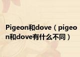 Pigeon和dove（pigeon和dove有什么不同）