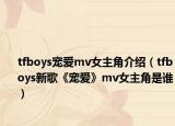 tfboys寵愛mv女主角介紹（tfboys新歌《寵愛》mv女主角是誰）