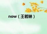 now（王若琳）