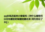 qq農(nóng)場還能挖小雛菊嗎（種什么植物可以在枯萎的時(shí)候翻地翻出來 拜托各位了 3Q）