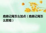 鹿鼎記尾怎么加點（鹿鼎記尾怎么繁殖）