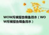 WOW斥候報告錦魚得水（WOW斥候報告錦魚得水）