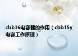 cbb16電容器的作用（cbb15y電容工作原理）