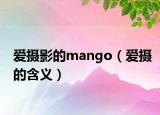 愛攝影的mango（愛攝的含義）