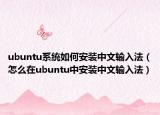 ubuntu系統(tǒng)如何安裝中文輸入法（怎么在ubuntu中安裝中文輸入法）