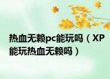 熱血無賴pc能玩嗎（XP能玩熱血無賴嗎）