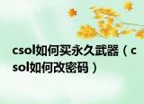 csol如何買(mǎi)永久武器（csol如何改密碼）