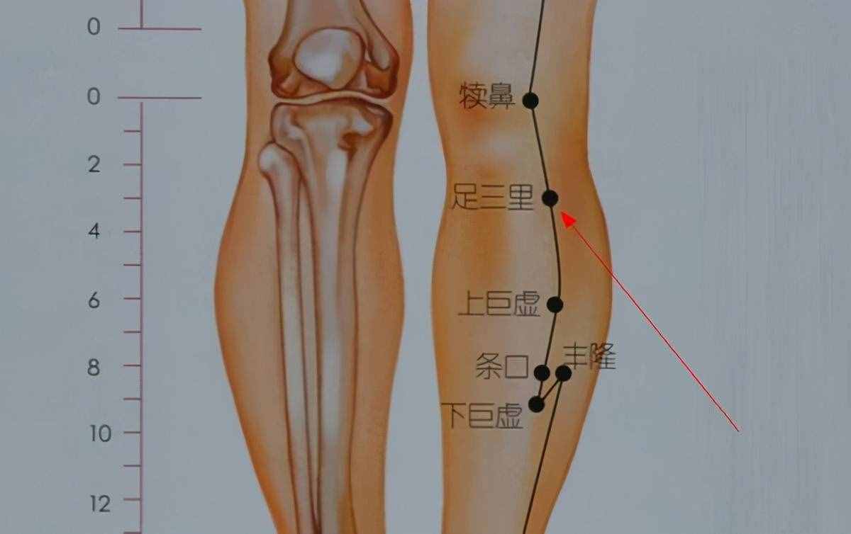 足三里，如何理上、理中、理下？