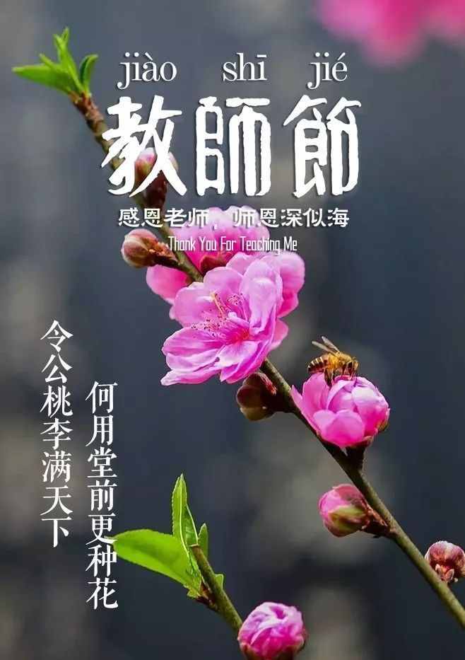 「詩(shī)詞鑒賞」教師節(jié)，那些贊美老師的詩(shī)句