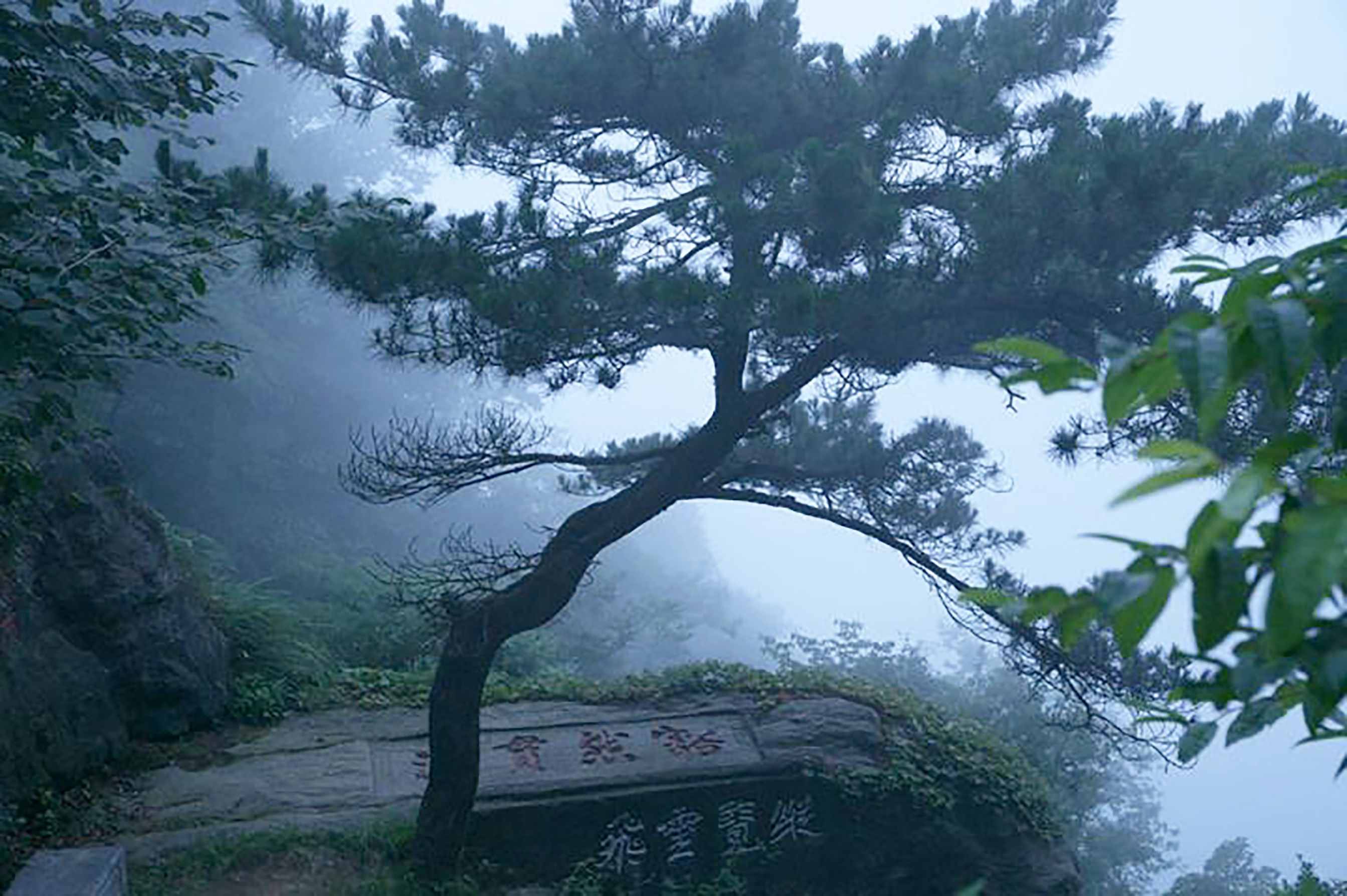 江西廬山，不僅奇秀甲天下，更是一座文化名山