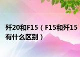 殲20和F15（F15和殲15有什么區(qū)別）