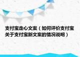 支付寶走心文案（如何評(píng)價(jià)支付寶關(guān)于支付寶新文案的情況說(shuō)明）