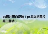 ps圖片黑白反轉(zhuǎn)（ps怎么將圖片黑白翻轉(zhuǎn)）