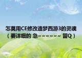 怎莫用CE修改造夢西游3的靈魂（要詳細的 急~~~~~~ 留Q）