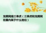 龍騰網(wǎng)絡(luò)三泰虎（三泰虎和龍騰網(wǎng)在國內(nèi)屬于什么地位）