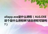 aliapp.exe是什么進(jìn)程（ALG.EXE這個是什么進(jìn)程啊?這些進(jìn)程可疑嗎?）