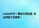 nokia6030（哪位大哥在用  怎么樣給個見意吧）