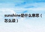 sunshine是什么意思（怎么讀）