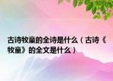 古詩牧童的全詩是什么（古詩《牧童》的全文是什么）