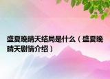 盛夏晚晴天結(jié)局是什么（盛夏晚晴天劇情介紹）