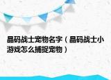 晶碼戰(zhàn)士寵物名字（晶碼戰(zhàn)士小游戲怎么捕捉寵物）