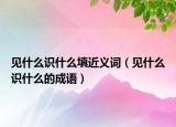 見什么識(shí)什么填近義詞（見什么識(shí)什么的成語）