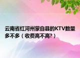 云南省紅河州蒙自縣的KTV數(shù)量多不多（收費高不高?）