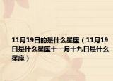 11月19日的是什么星座（11月19日是什么星座十一月十九日是什么星座）