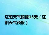 遼陽天氣預(yù)報(bào)15天（遼陽天氣預(yù)報(bào)）