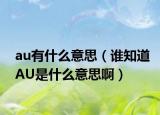 au有什么意思（誰知道AU是什么意思啊）