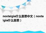 nostalgia什么意思中文（nostalgia什么意思）