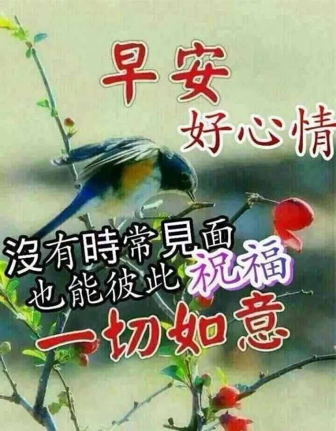 花是牡丹最美，人為朋友最親，交友不交金和銀，只交朋友一顆心